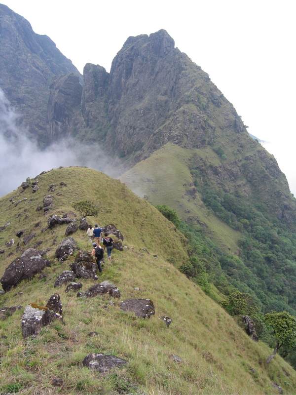 Nilgiris Hills - the grassy ridge and view of Needle Rock